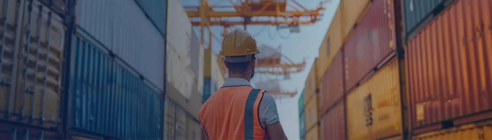 Customs Clearance